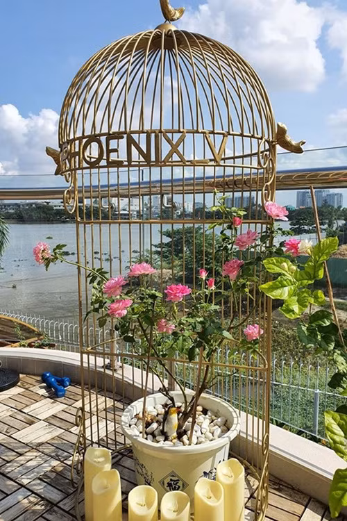 Người đẹp mang cả thiết kế lồng chim trang trí cho vườn nhà.