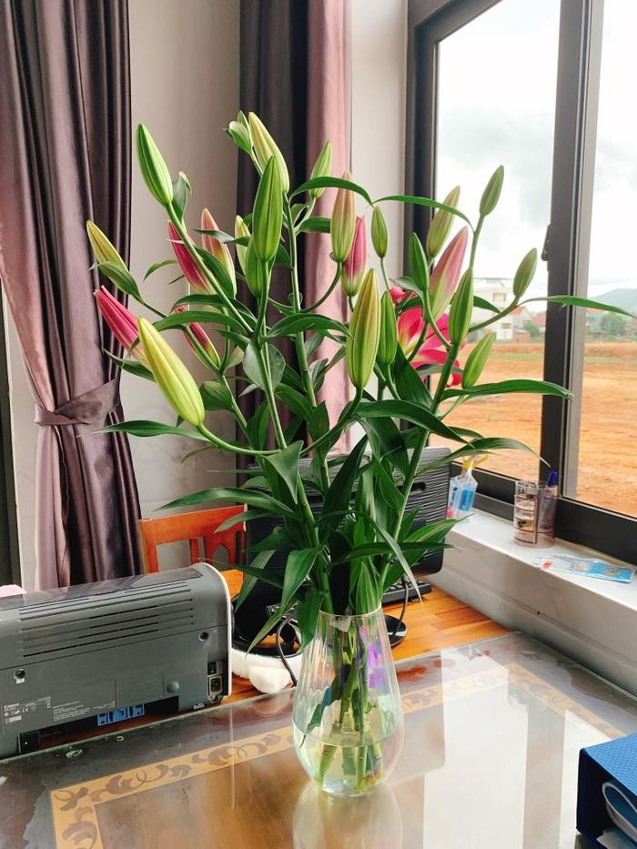 Mọi ngóc ngách trong nhà của Hoa hậu Huỳnh Trần Ý Nhi đều được bài trí đầy hoa tươi. Ảnh: FBNV