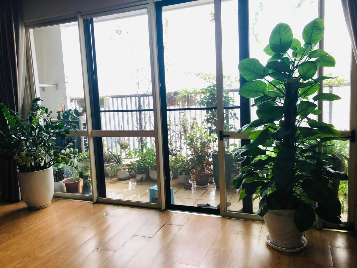 Ngoài ra, căn hộ của MC Hữu Bằng còn có ban công nhỏ, đặt nhiều chậu cây xanh.