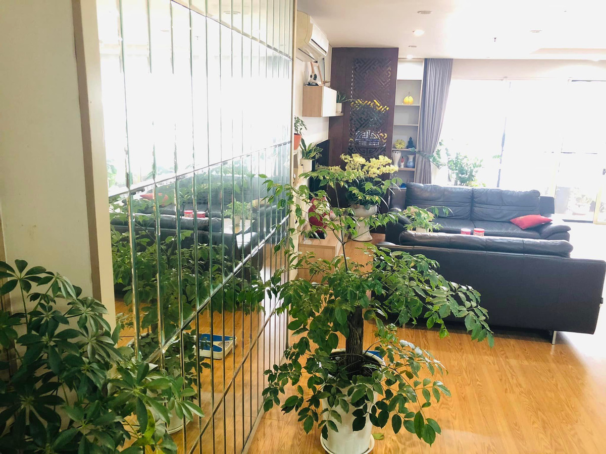 Các chậu cây được bố ở nhiều góc của phòng khách mang đến nét tươi mới căn hộ.