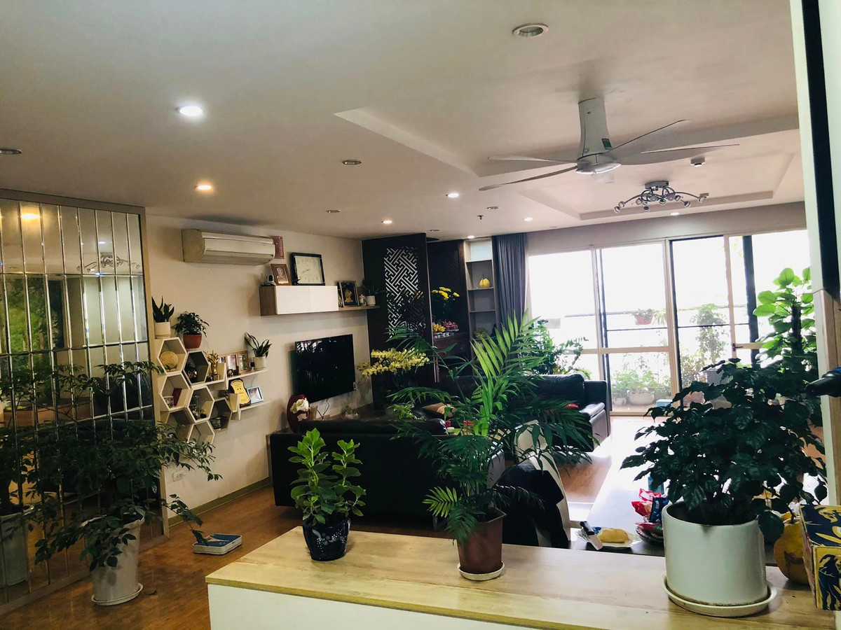 BTV Thời sự 19h Hữu Bằng còn có kệ dài để đặt nhiều chậu cây khác nhau tạo sự ngăn cách giữa bàn ăn với phòng khách rất tinh tế.