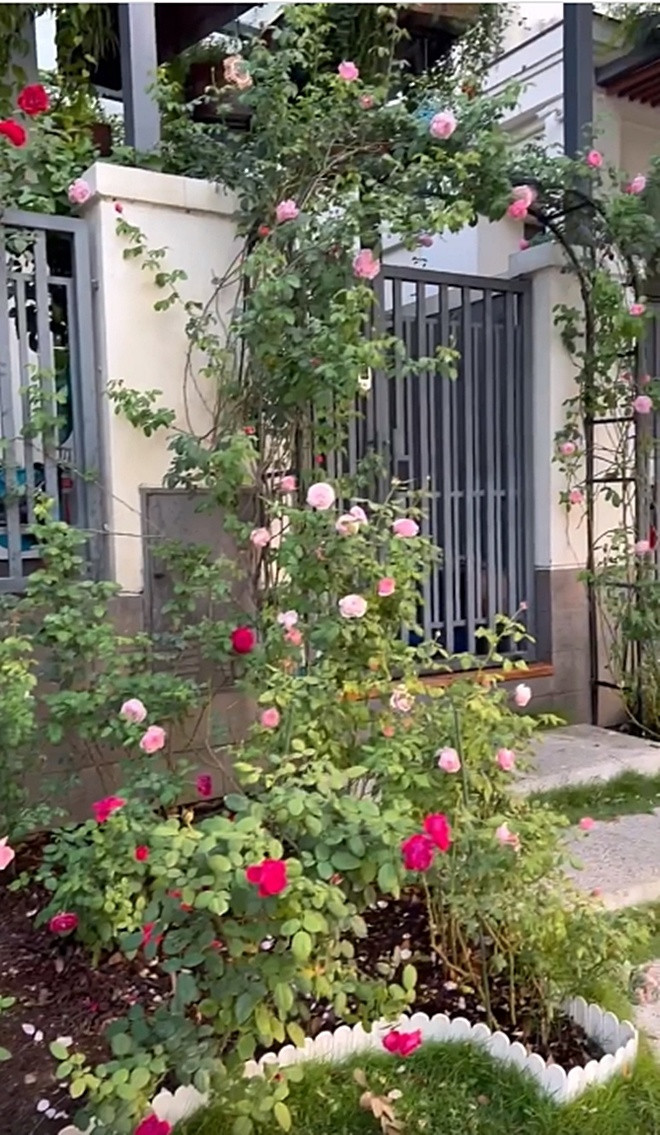 Hiên nhà ngập tràn hoa hồng, đẹp như trong mơ.