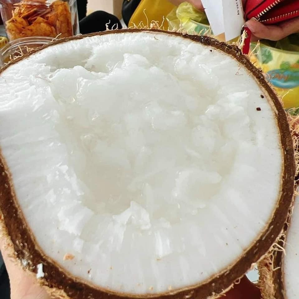 Một ưu điểm nữa của dừa sáp Trà Vinh là có quanh năm, khách hàng có thể mua bất cứ thời điểm nào trong năm. Ảnh: Facebook