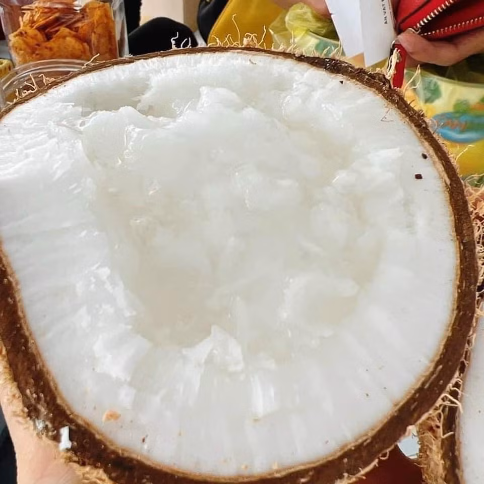 Một ưu điểm nữa của dừa sáp Trà Vinh là có quanh năm, khách hàng có thể mua bất cứ thời điểm nào trong năm. Ảnh: Facebook