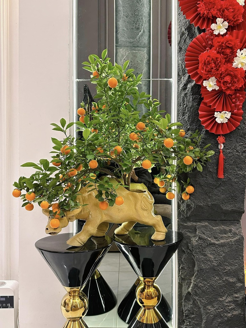 Chậu quất mang hình con trâu đáng yêu. Nguồn ảnh: FBNV