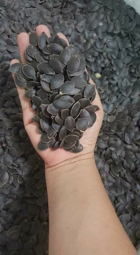 Trên thị trường, hạt bí mèo đen được bán 2 loại là hạt sống và hạt đã rang chín. Loại hạt rang sẵn giá khoảng từ 200.000 - 300.000 đồng/kg. Ảnh: Facebook