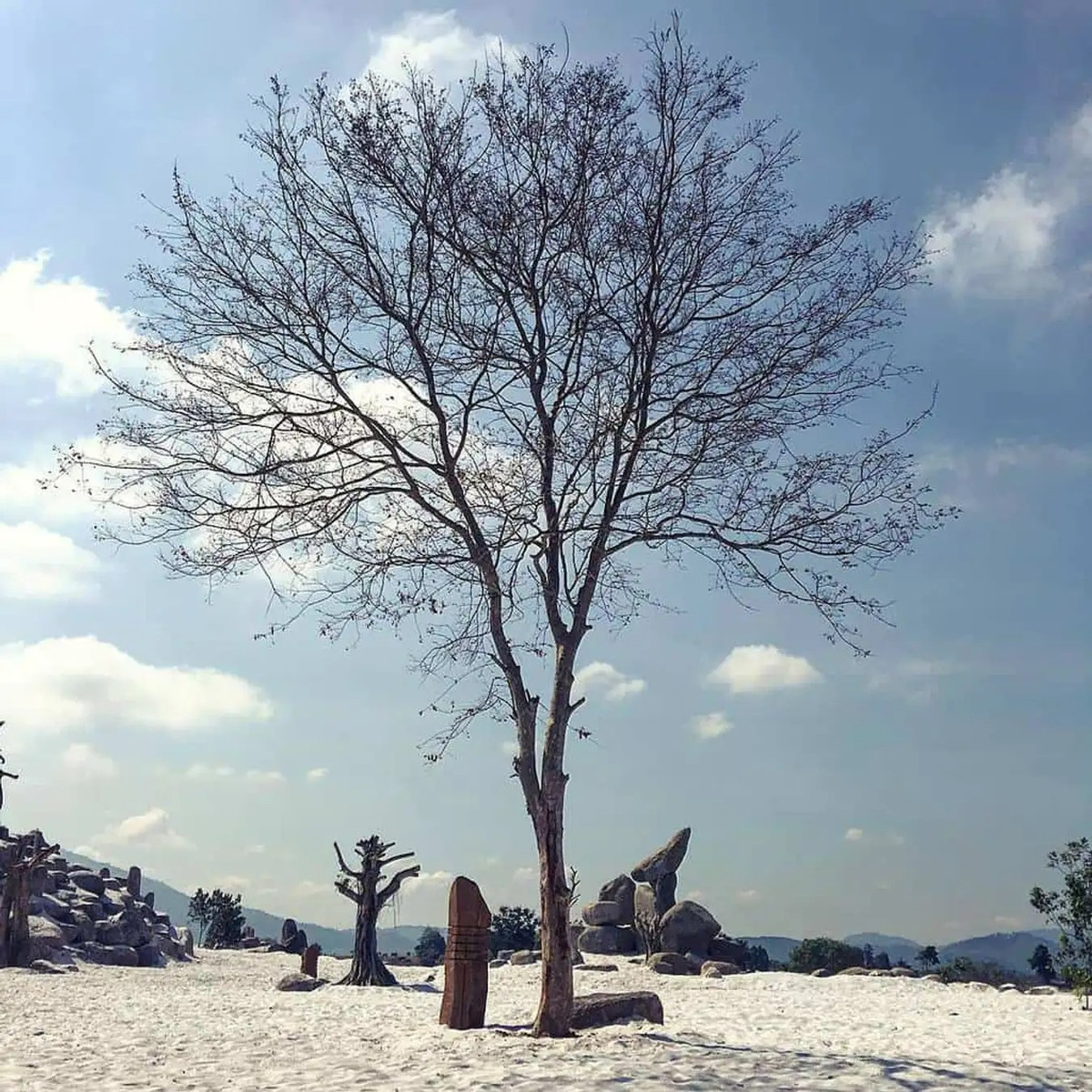 Thay vào đó là tiếng lá cây xào xạc trong gió như một bản nhạc rừng du dương. Ảnh: Traveloka