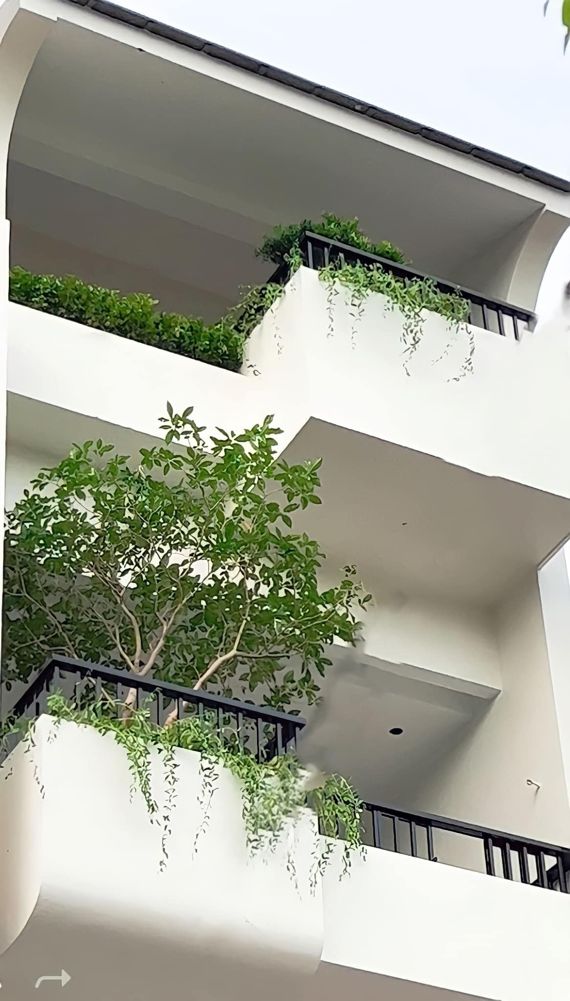 Trên trang cá nhân, Quế Vân vừa chia sẻ hình ảnh một góc căn biệt thự. Tại đây, người đẹp cho bài trí rất nhiều cây xanh.