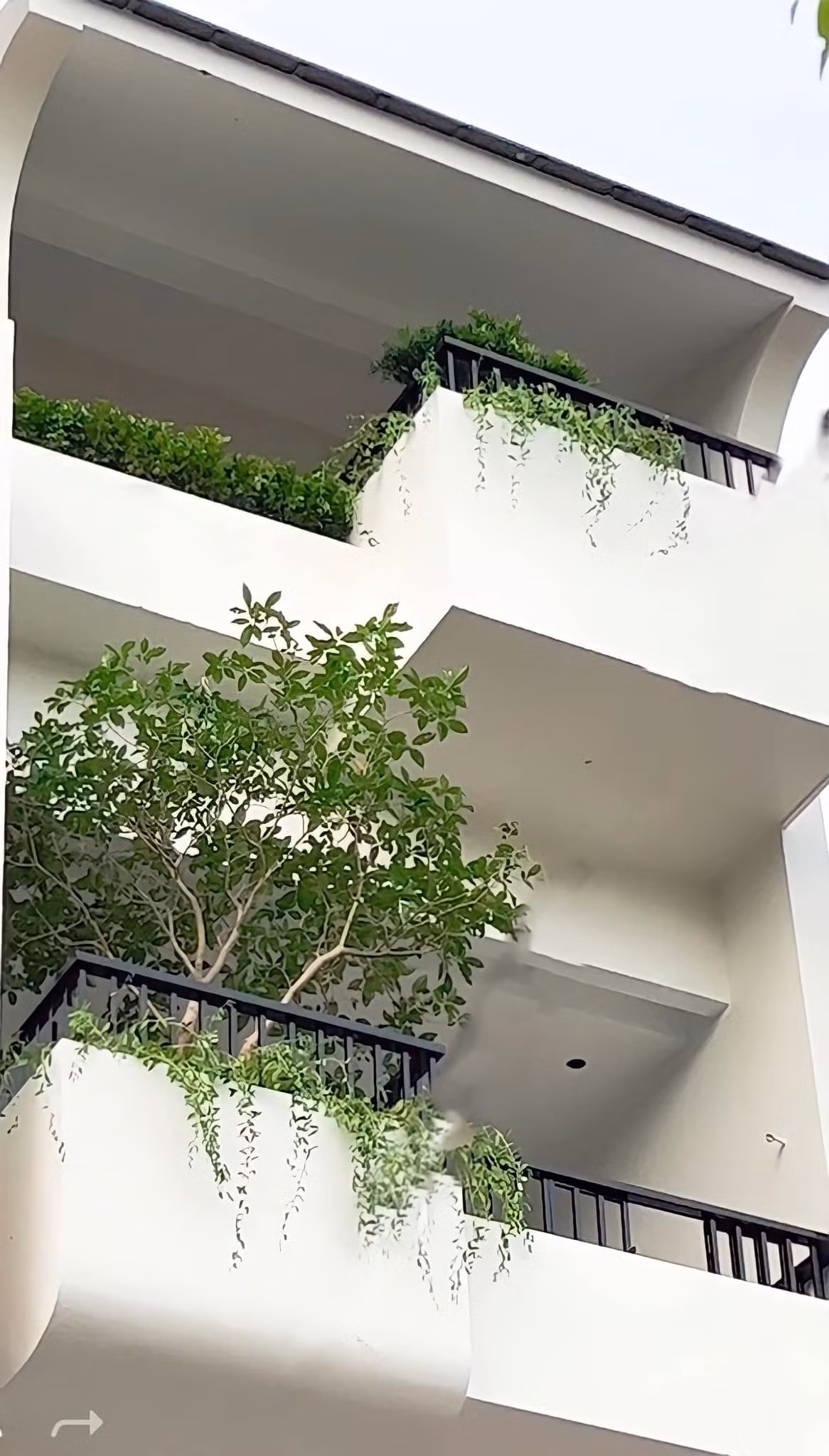 Trên trang cá nhân, Quế Vân vừa chia sẻ hình ảnh một góc căn biệt thự. Tại đây, người đẹp cho bài trí rất nhiều cây xanh.