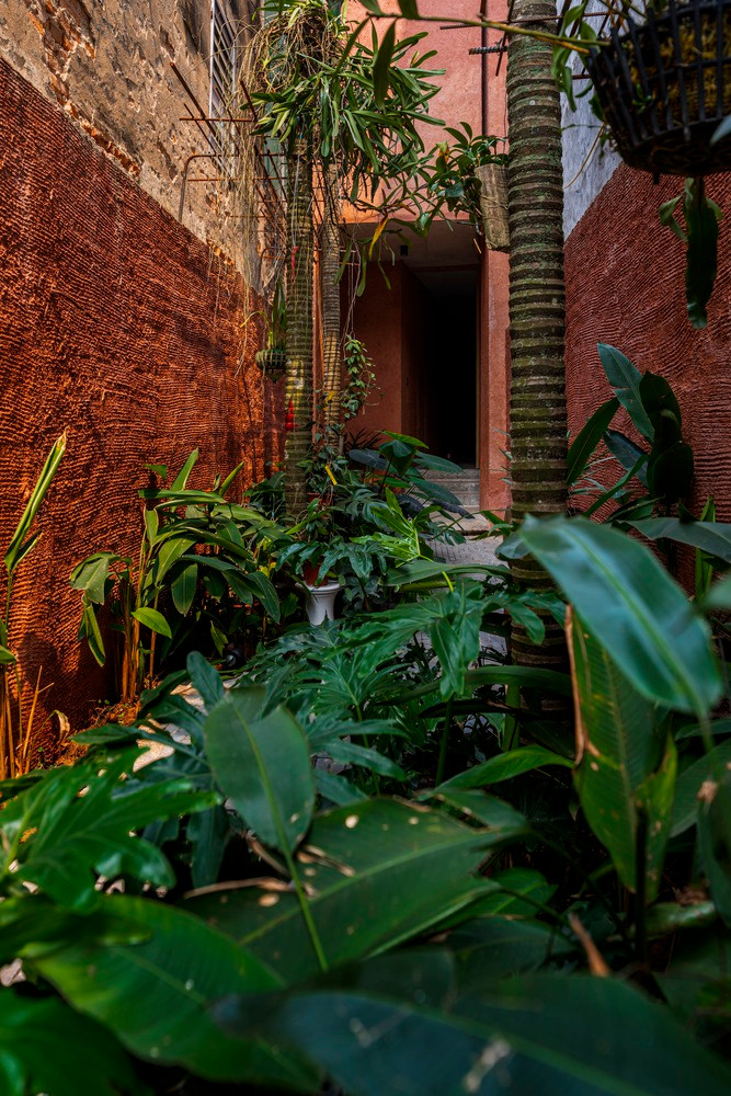  Ngôi nhà duy trì nhiệt độ bên trong bằng cách sử dụng bẫy không khí từ ngõ vườn và sân để lưu thông gió mát khắp nhà.