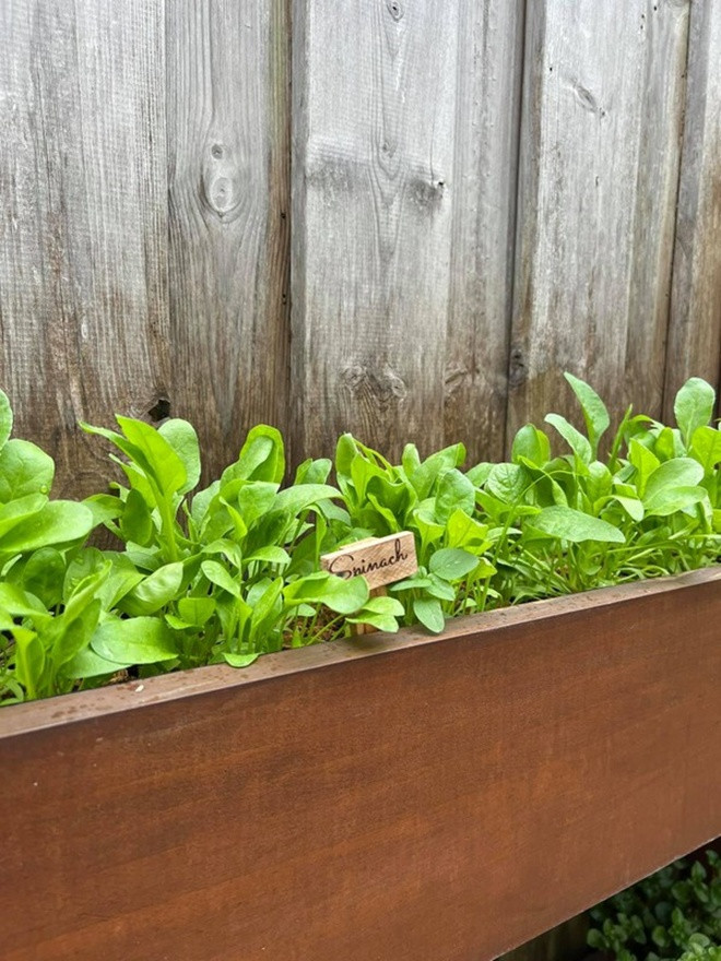 Người đẹp cũng trồng rất nhiều rau sạch. Nguồn ảnh: FB Tang Thanh Hà