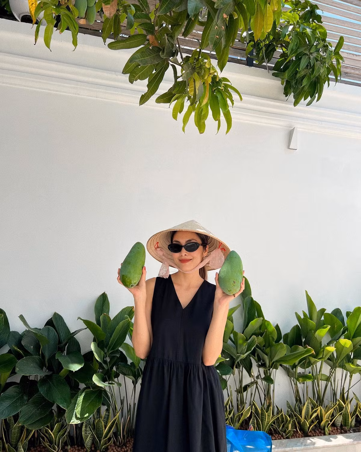 He lo dieu dac biet trong to am trieu do cua Tang Thanh Ha