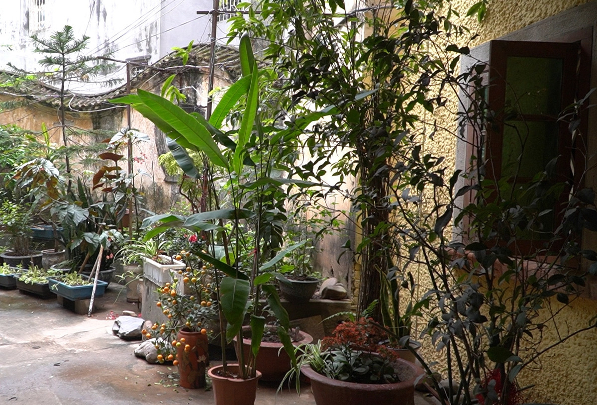 Lối vào biệt thự nằm sâu trong con ngõ nhỏ trên phố Ngọc Hà. Ảnh: Dân Việt