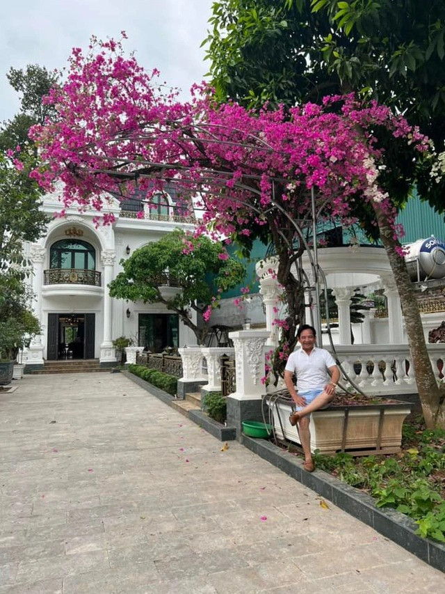 Nam nghệ sĩ còn trồng cả một giàn hoa giấy rực rỡ. Ảnh: FBNV