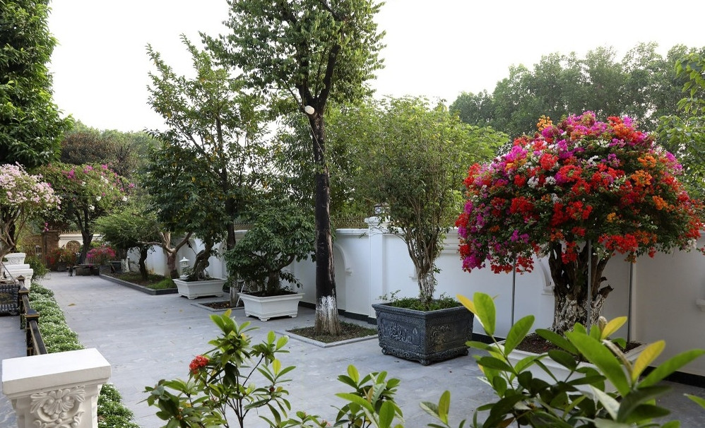 Hai bên lối vào nhà phủ màu xanh của cây cỏ, hoa rực rỡ khiến nhiều người liên tường như bước vào khu vườn xuân. Ảnh: Dân trí