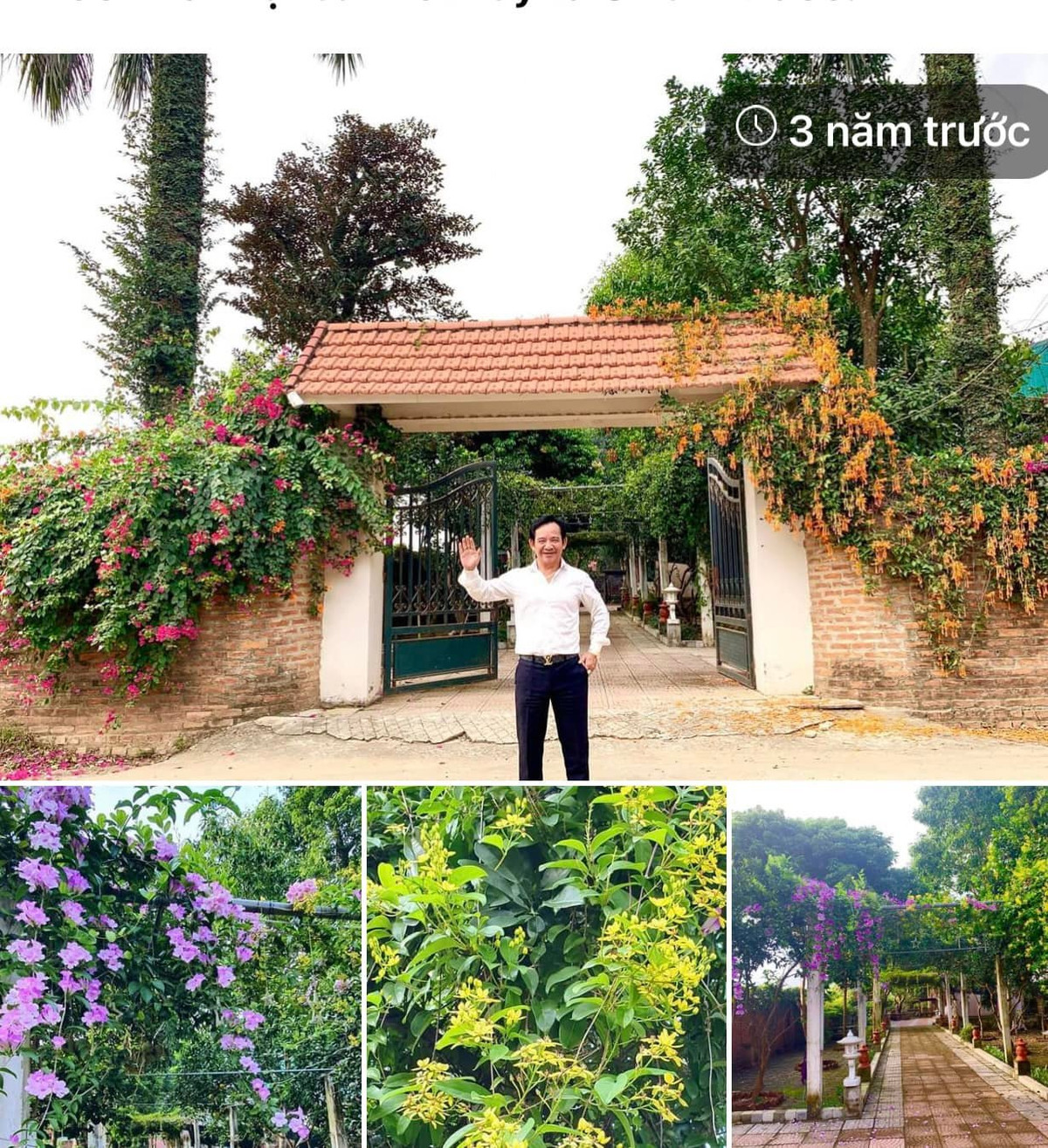 Đây là mảnh đất nam nghệ sĩ mua từ rất nhiều năm trước với giá 200 triệu đồng. Khi chưa được xây dựng, ngôi nhà vườn rợp bóng cây xanh. Ảnh: FBNV