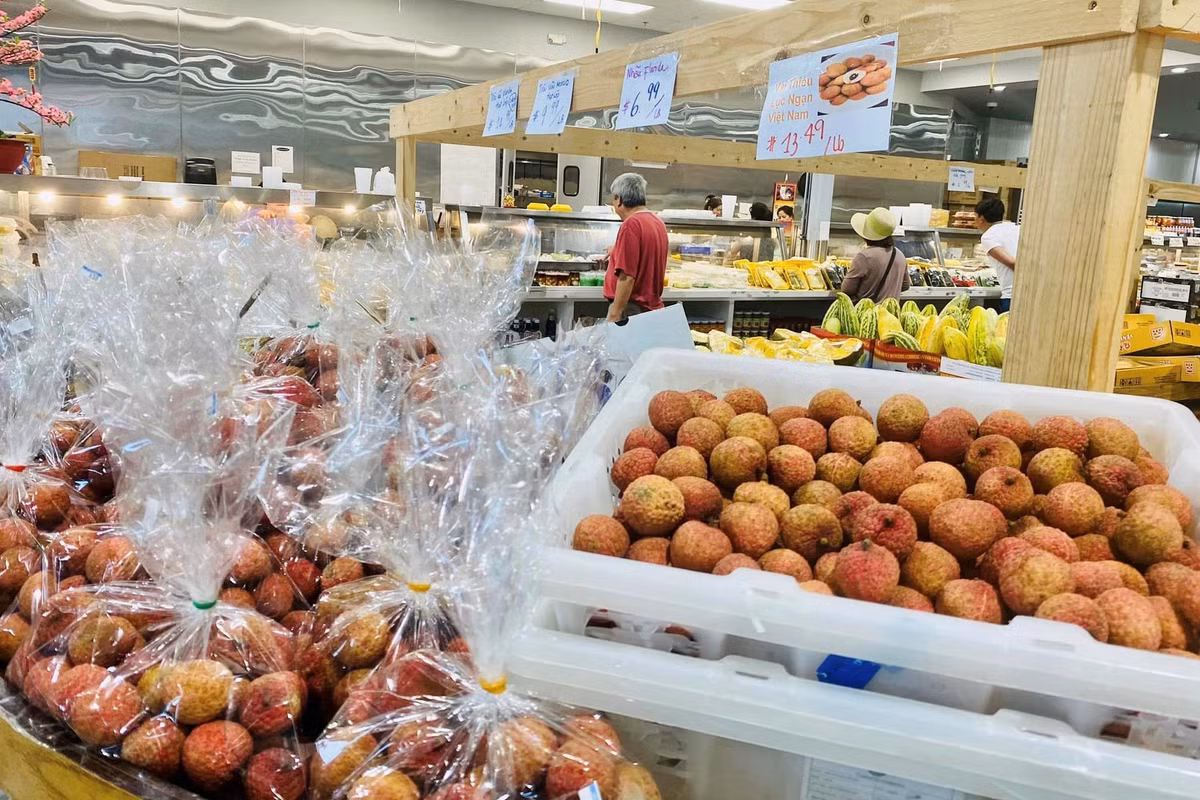 Ngày 20/6 vừa qua, lô hàng vải thiều tươi đầu vụ 2023 của tỉnh Bắc Giang qua đường hàng không đã đến Houston (Mỹ). Ngay sau đó, vải thiều tươi Việt Nam được bán đồng loạt tại nhiều siêu thị và chợ châu Á lớn nhất ở Houston, Texas. Ảnh: Công ty LNS.