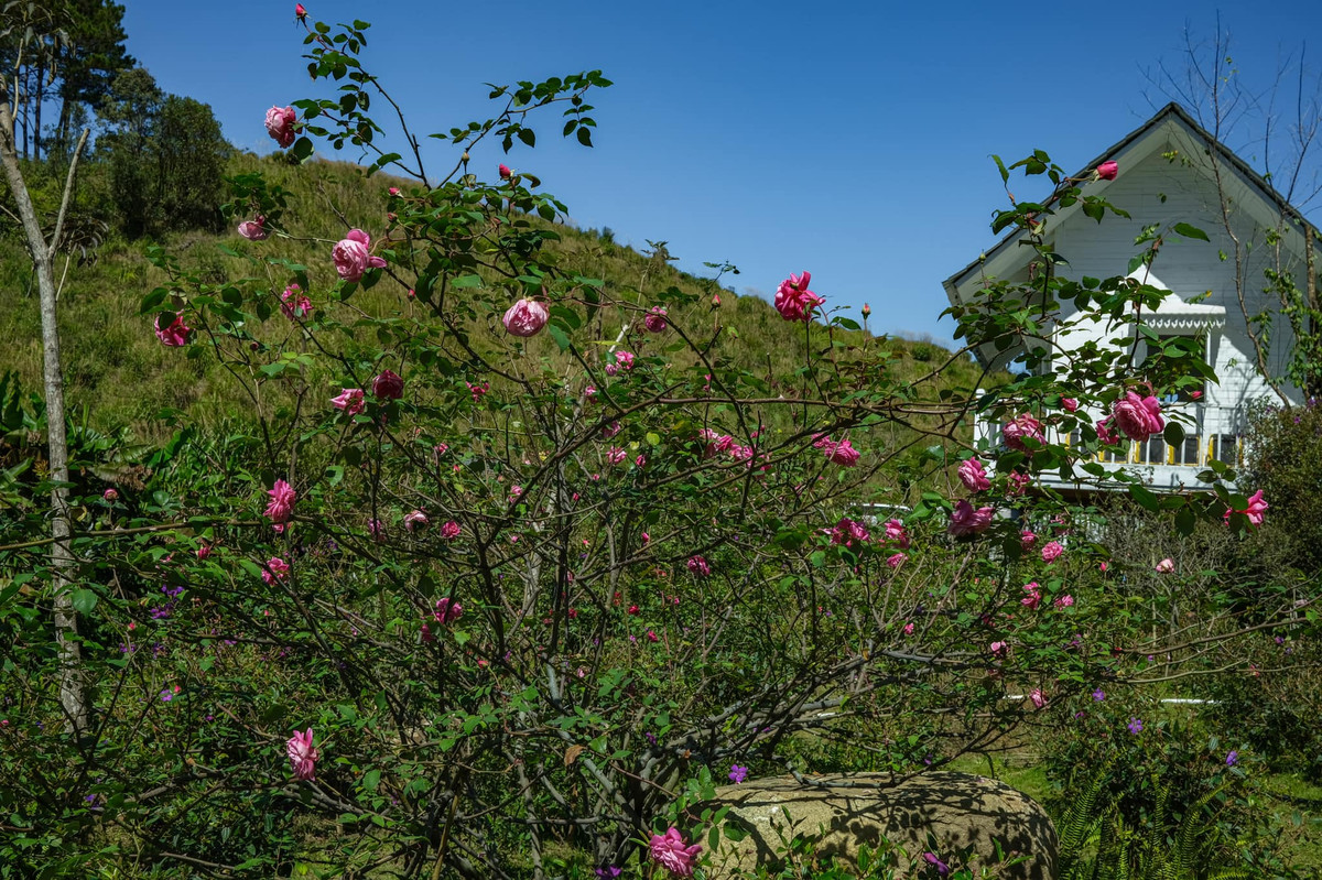 Mới đây, NTK Lý Quí Khánh thu hút sự chú ý của khán giả trước vẻ đẹp của ngôi nhà ngập sắc hoa trên thảo nguyên xanh mướt.