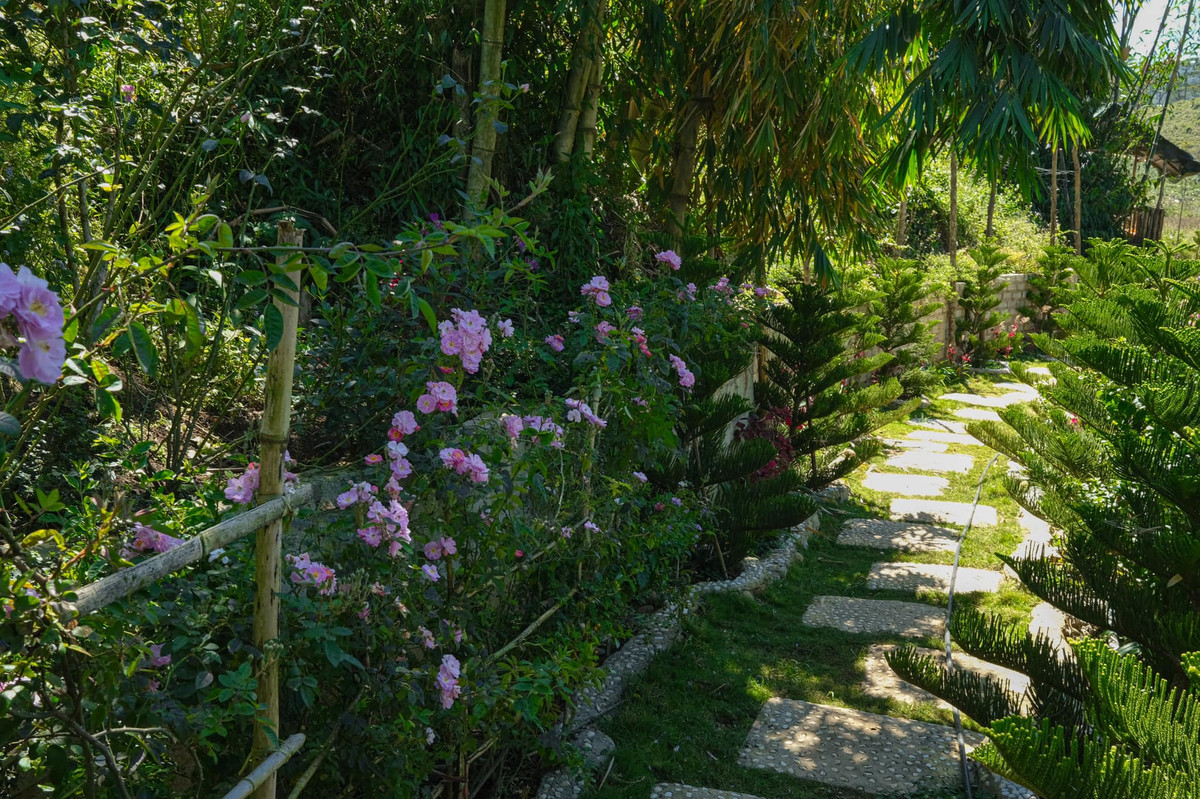 Lối vào nhà xanh mướt được tô điểm bởi những cành hồng đang khoe sắc.