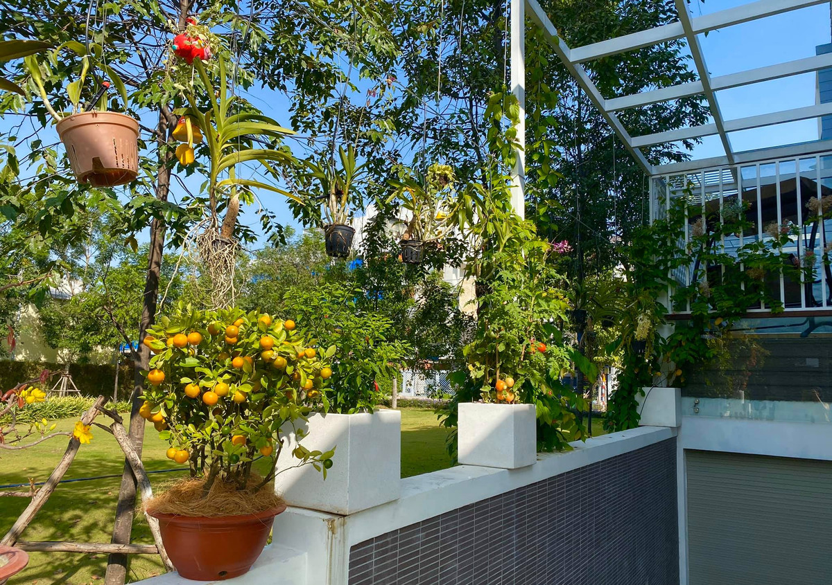 Tại cơ ngơi này, Trịnh Kim Chi và ông xã thiết kế một khu vườn bao quanh với nhiều loại cây xanh.