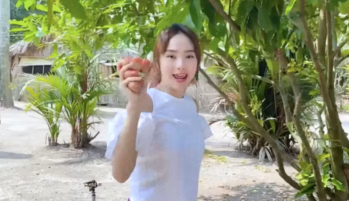 Trong khu vườn rộng lớn này, Minh Hằng trồng rất nhiều cây ăn trái như mận, xoài... Ảnh chụp màn hình