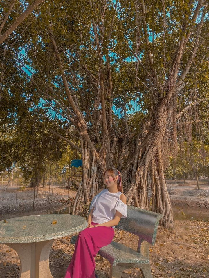 Vì vùng đất nước lợ nên mỗi tháng nữ ca sĩ phải mua rất nhiều nước để tưới cây. Ảnh: FBNV