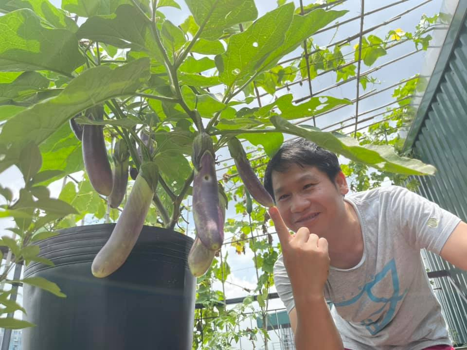 Với vườn rau sạch trên sân thượng, gia đình anh hiếm khi mua rau bên ngoài.