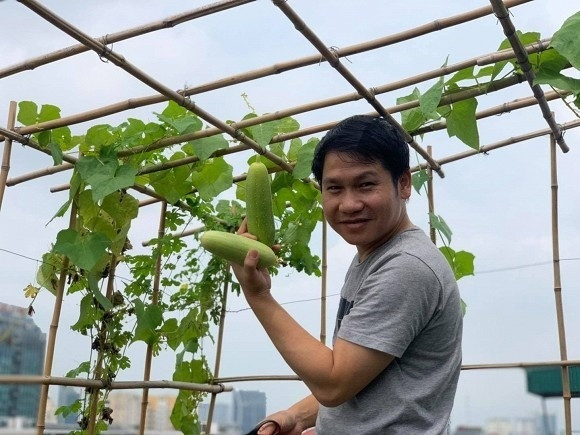 Vườn nhà Trọng Tấn có đẩy đủ các loại rau từ cà chua, mướp đến bầu...