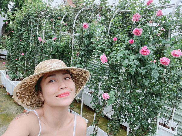 Ốc Thanh Vân đặc biệt yêu thích các giống hoa hồng ngoại vì có mùi thơm, hình thức đẹp. Ảnh: FBNV