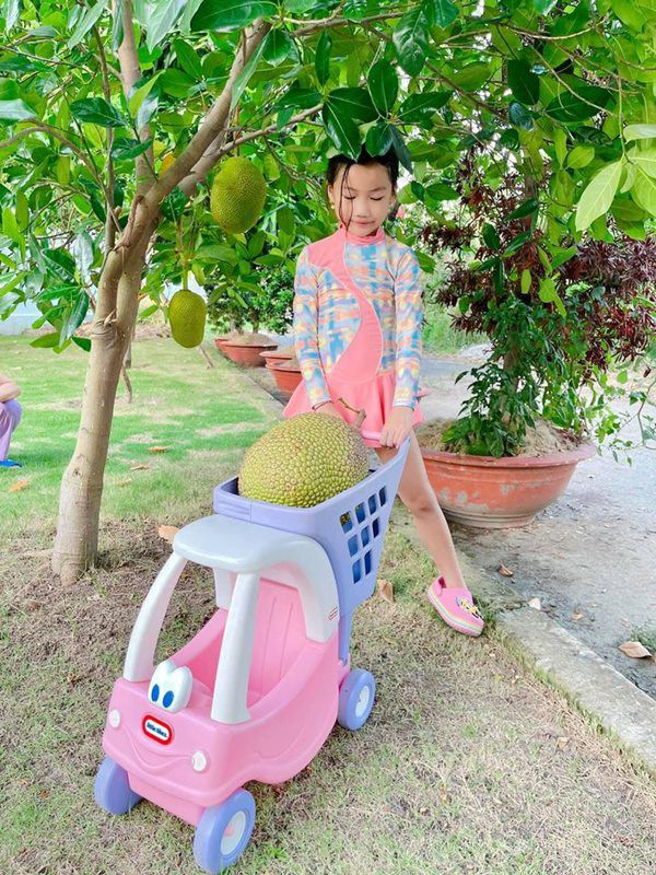 Cây mít cũng đã cho quả to. Ảnh: FBNV