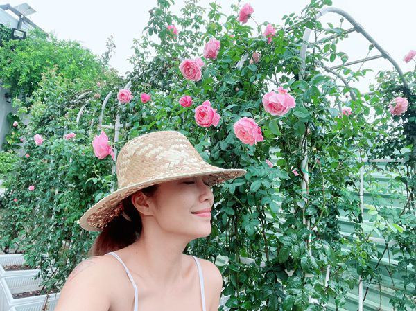 Ngoài cây ăn trái, MC Ốc Thanh Vân còn trồng cả một giàn hoa hồng rực rỡ. Ảnh: FBNV