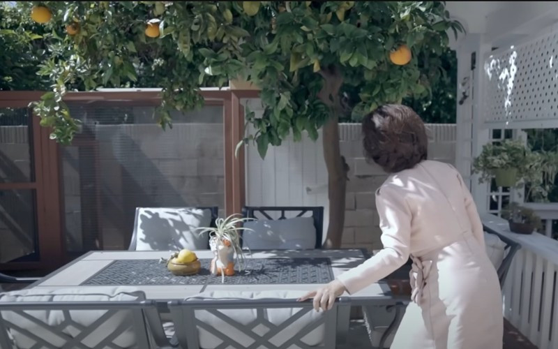 Khu vườn trong biệt thự của Thuý Nga có rất nhiều cây ăn trái, mùa nào thức đấy. Mùa này có cam, táo tàu, lê...