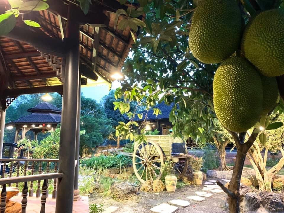 Nhiều đại gia sau khi đến tham quan ngỏ ý muốn mua lại ngôi nhà với giá cao nhưng Hoàng Mập từ chối. Từng ngọn cây, cọng cỏ ở đây đều do nam nghệ sĩ chăm bón. Anh xem ngôi nhà như nơi lưu giữ những khoảnh khắc gia đình và muốn giữ lại cho các con. Ảnh: Zing