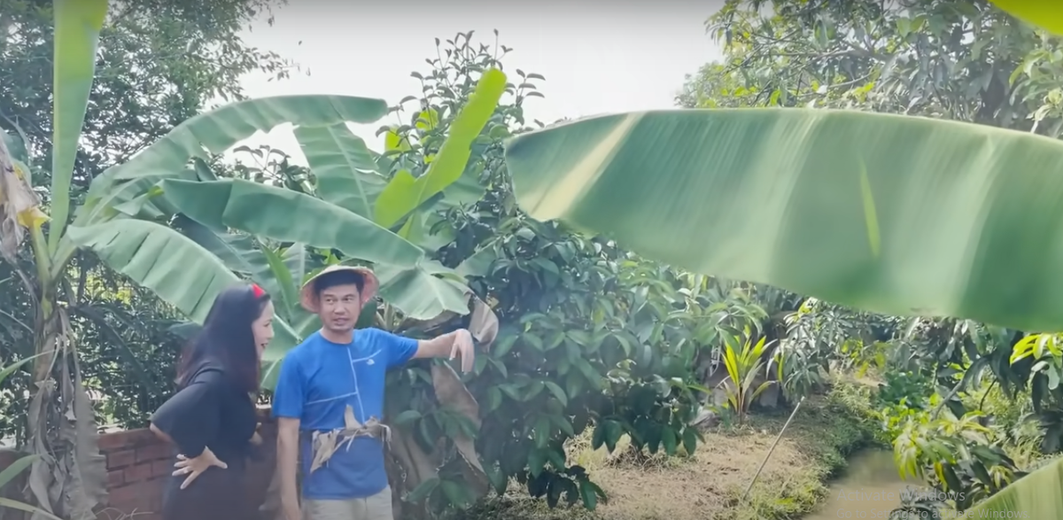 Tiết Cương cho biết mua khu vườn rộng 2,5 ha này cách đây 20 năm với giá 4 chỉ vàng.