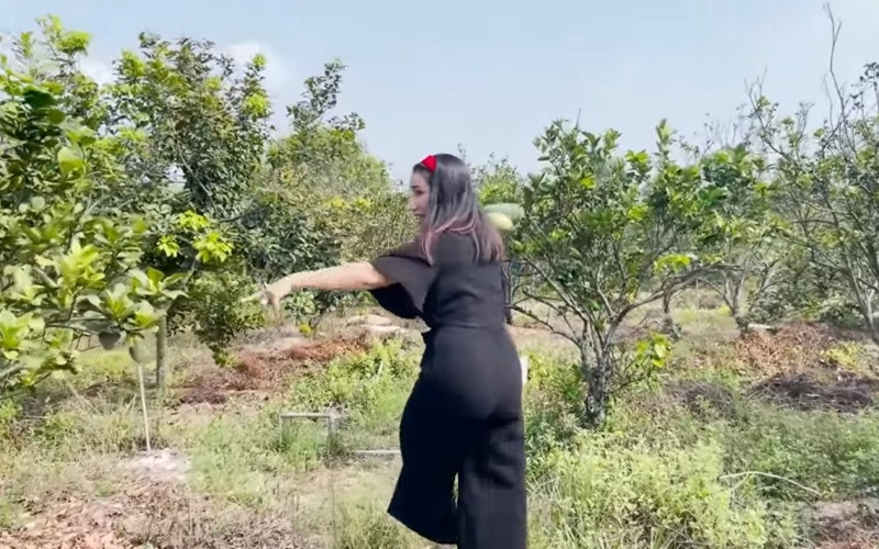 Tuy nhiên, cuối đoạn video, khi nghe tiếng một người nói lớn, Tiết Cường liền bỏ chạy và nói với Cát Tường rằng: "Vườn của người ta" khiến Cát Tường xin thua. Nguồn ảnh: Chụp màn hình