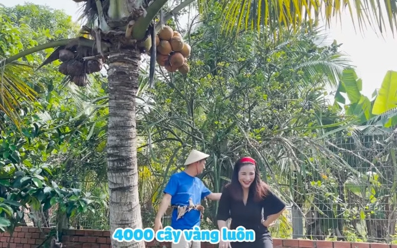 Nam nghệ sĩ hài hước nói rằng giờ trả khu vườn 4.000 cây vàng vẫn còn suy nghĩ, vì anh "không cần tiền".