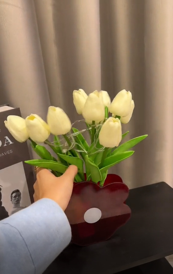 Dù chỉ "nhá hàng" một vài góc nhưng cũng có thể thấy căn phòng xinh xắn của Quỳnh Lương. Ảnh: chụp màn hình Tiktok