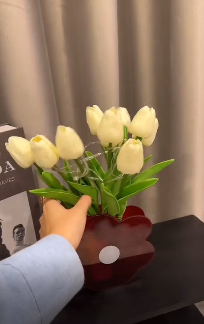 Dù chỉ "nhá hàng" một vài góc nhưng cũng có thể thấy căn phòng xinh xắn của Quỳnh Lương. Ảnh: chụp màn hình Tiktok