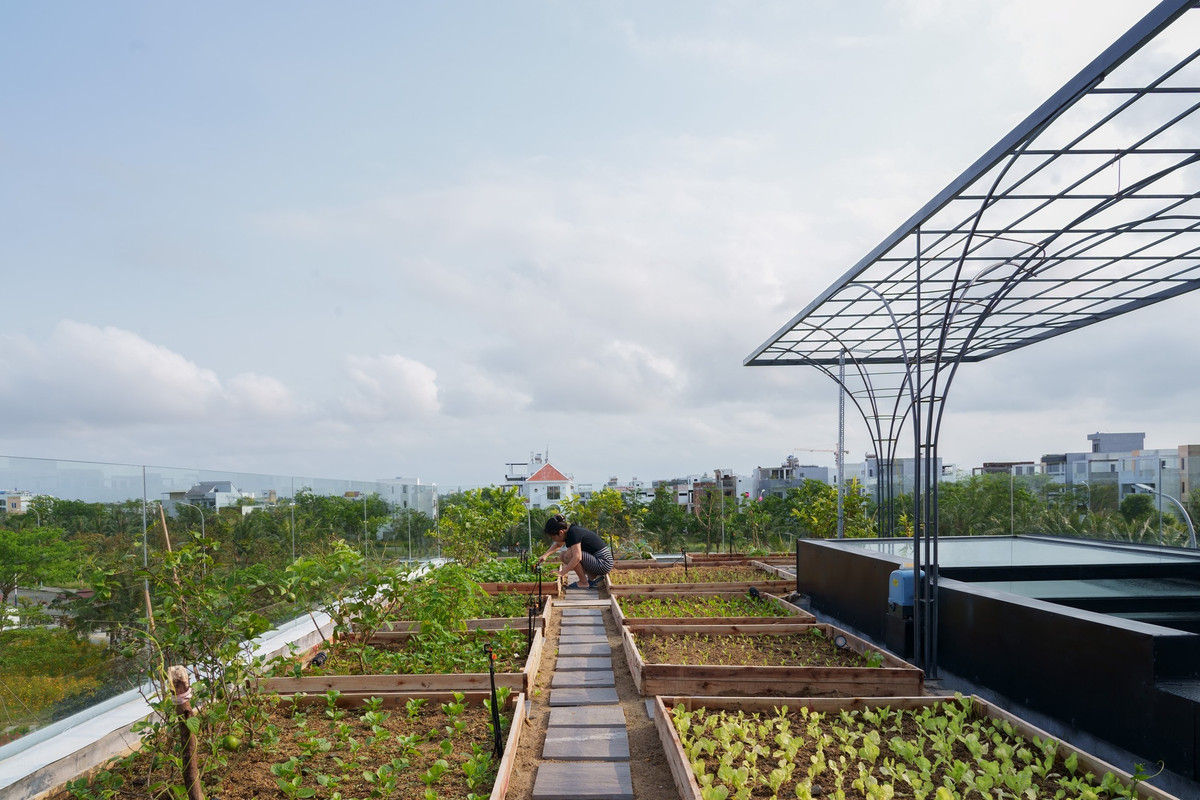 Ngoài ra, vườn rau còn có tác dụng chống nóng cho các tầng dưới và chống nứt bê tông do nhiệt độ ngày đêm thay đổi.