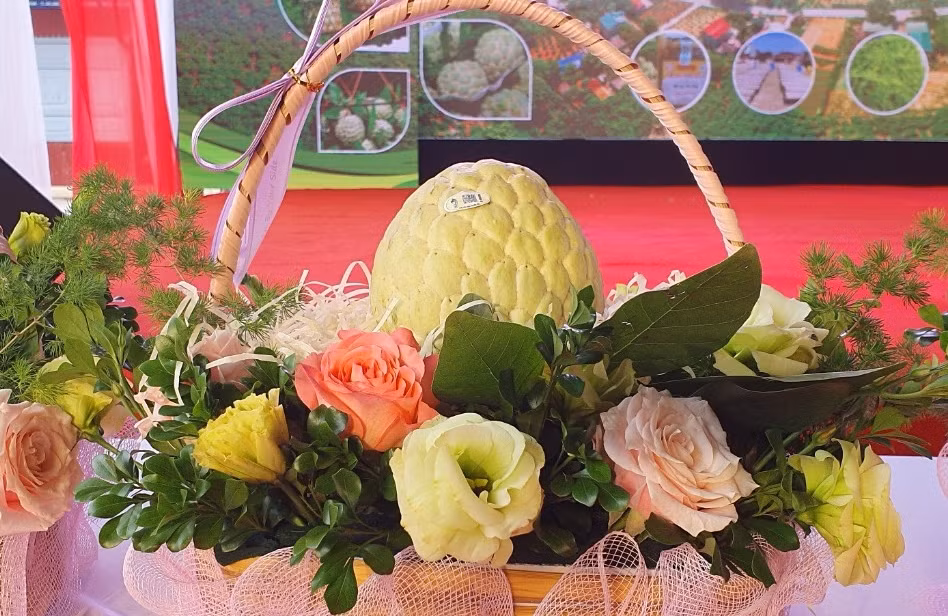 Tại phiên chợ quảng bá, tiêu thụ na và các sản phẩm OCOP Chi Lăng (khai mạc ngày 19/8 tại huyện Chi Lăng, Lạng Sơn), ban tổ chức đã đấu giá 8 quả na được 770 triệu đồng, trong đó có 2 quả na được bán hơn 200 triệu/quả. Ảmh: Nongnghiep