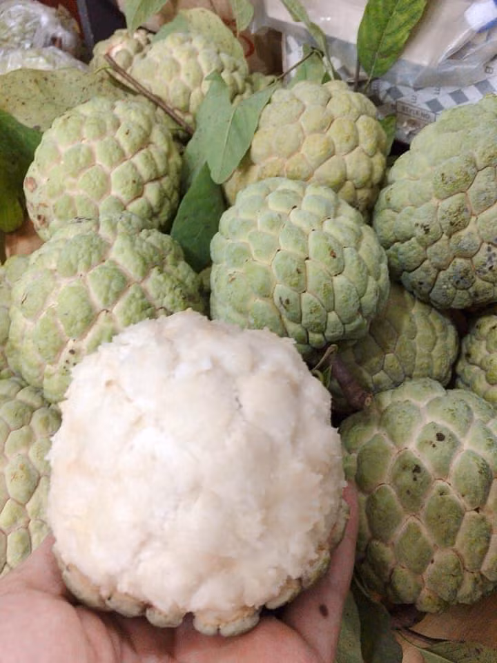 Đặc biệt, na Đồng Bành nhanh chín nhưng không bị thâm vỏ và nát. Ảnh: Facebook