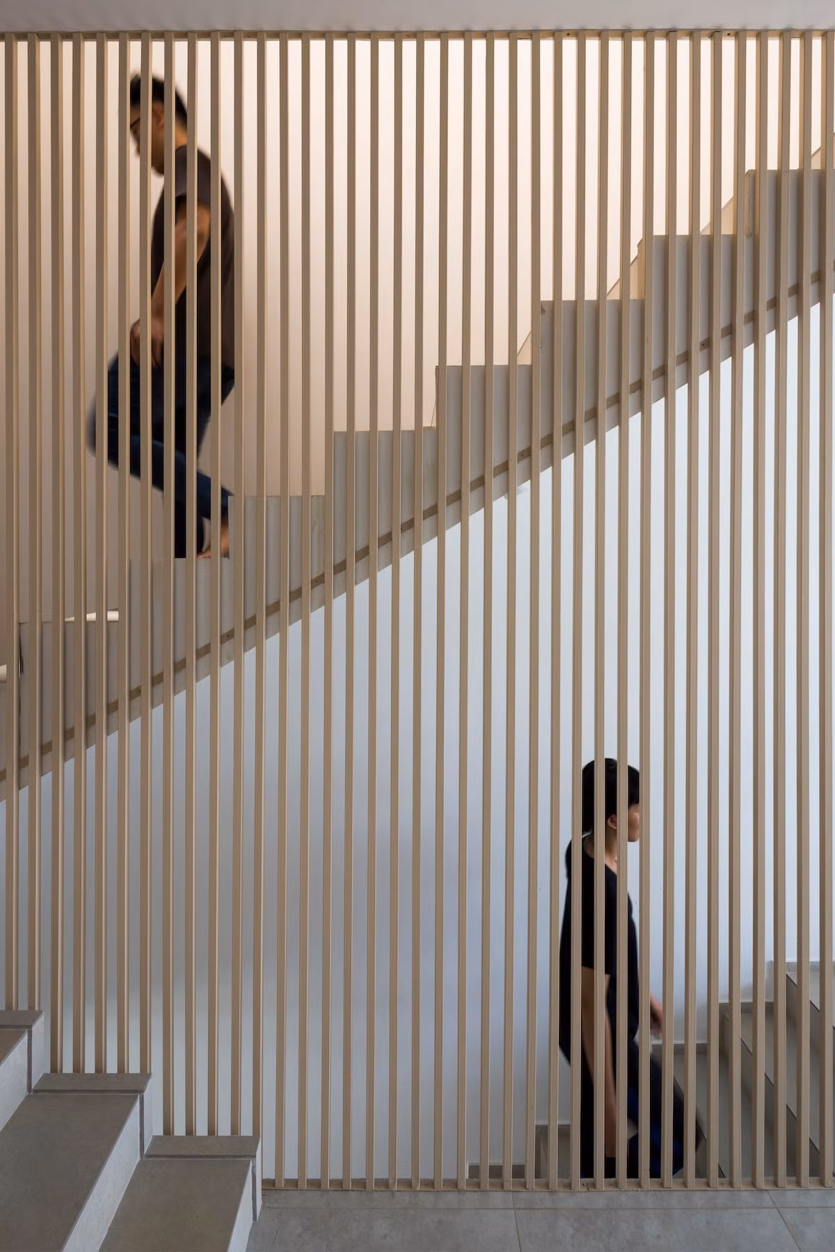 Hệ lam vừa giúp trang trí vừa phân chia không gian chức năng. Nguồn ảnh: Hiroyuki Oki