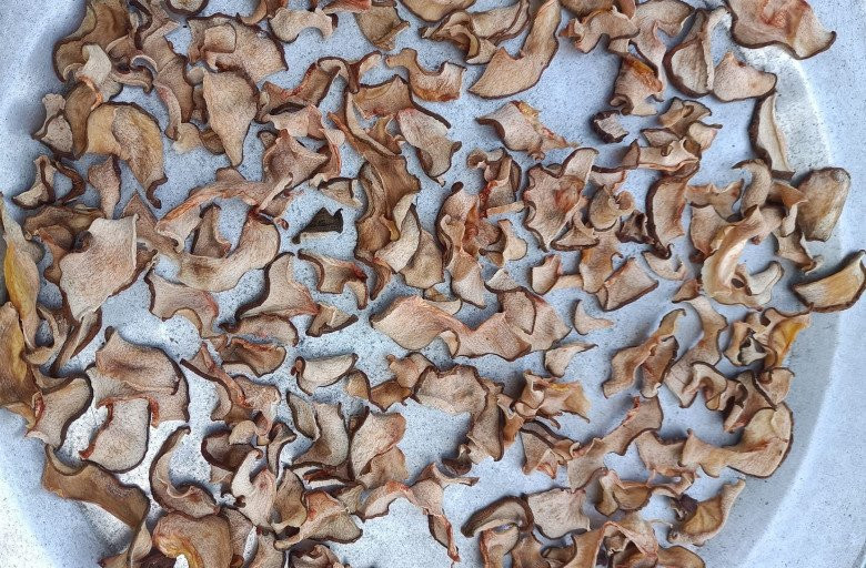 Gần đây, quả tai chua được sử dụng làm gia vị tạo chua, người dân thành phố biết đến nhiều hơn. Thi thoảng, có người mang loại quả này xuống thành phố bán 70.000 đồng/kg. Còn tai chua khô giá lên tới 180.000 đồng/kg. Ảnh: Facebook