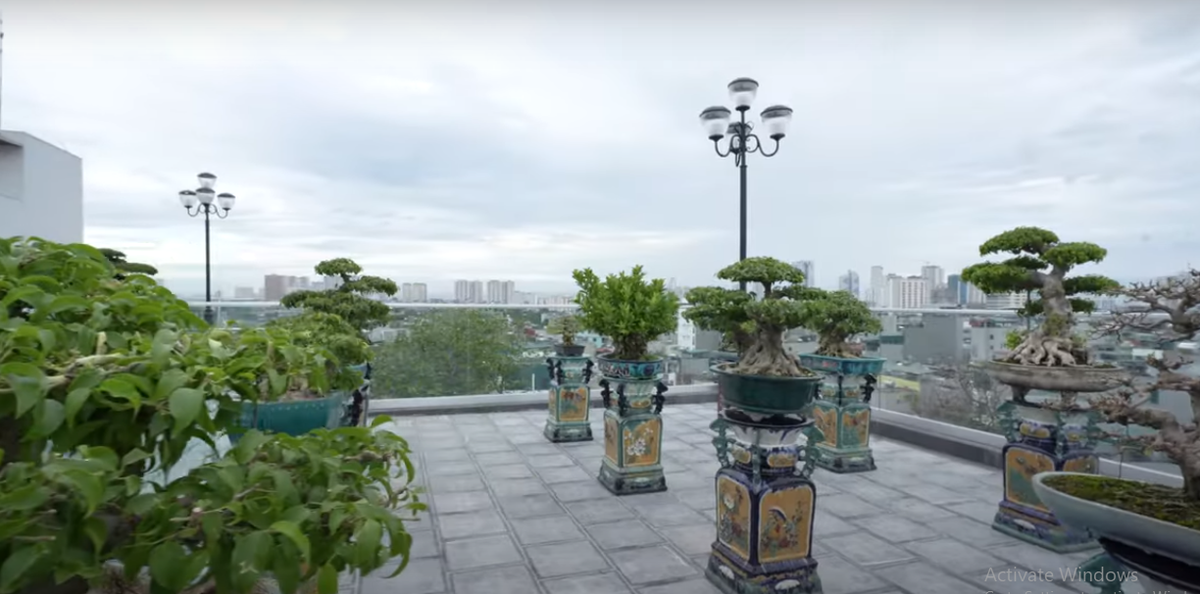Tầng thượng còn có một khu vườn bonsai cổ hàng trăm tỷ đồng. Nguồn ảnh: chụp màn hình NhaTo