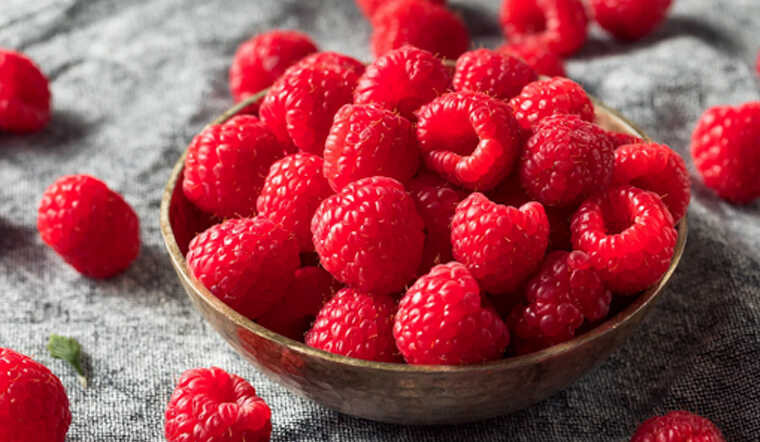 Mâm xôi là loại quả mọc dại xuất phát từ Đông Nam Á, Bắc Mỹ, đặc biệt được ưa chuộng ở các nước châu Âu. Ảnh: Internet