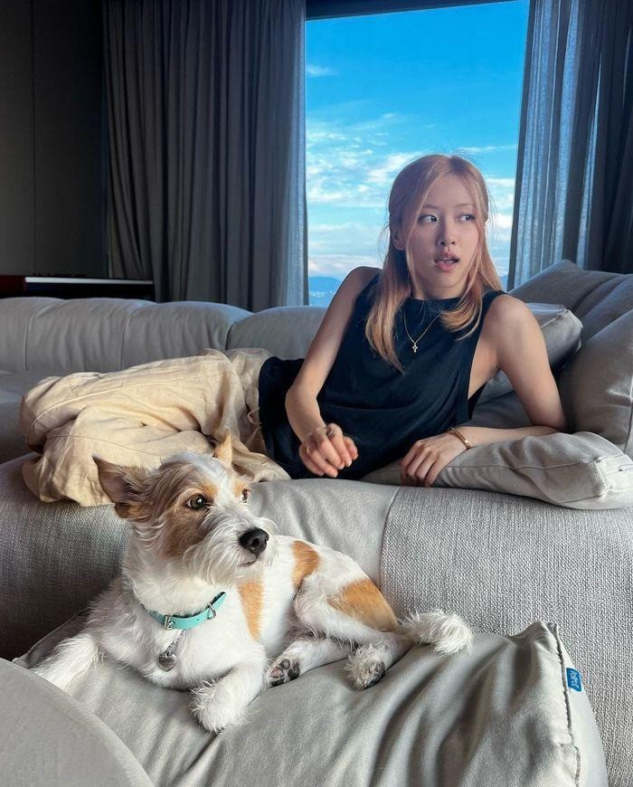 Các căn hộ ở đây thường có diện tích từ 112m2 đến 272m2. Ảnh: Uchify