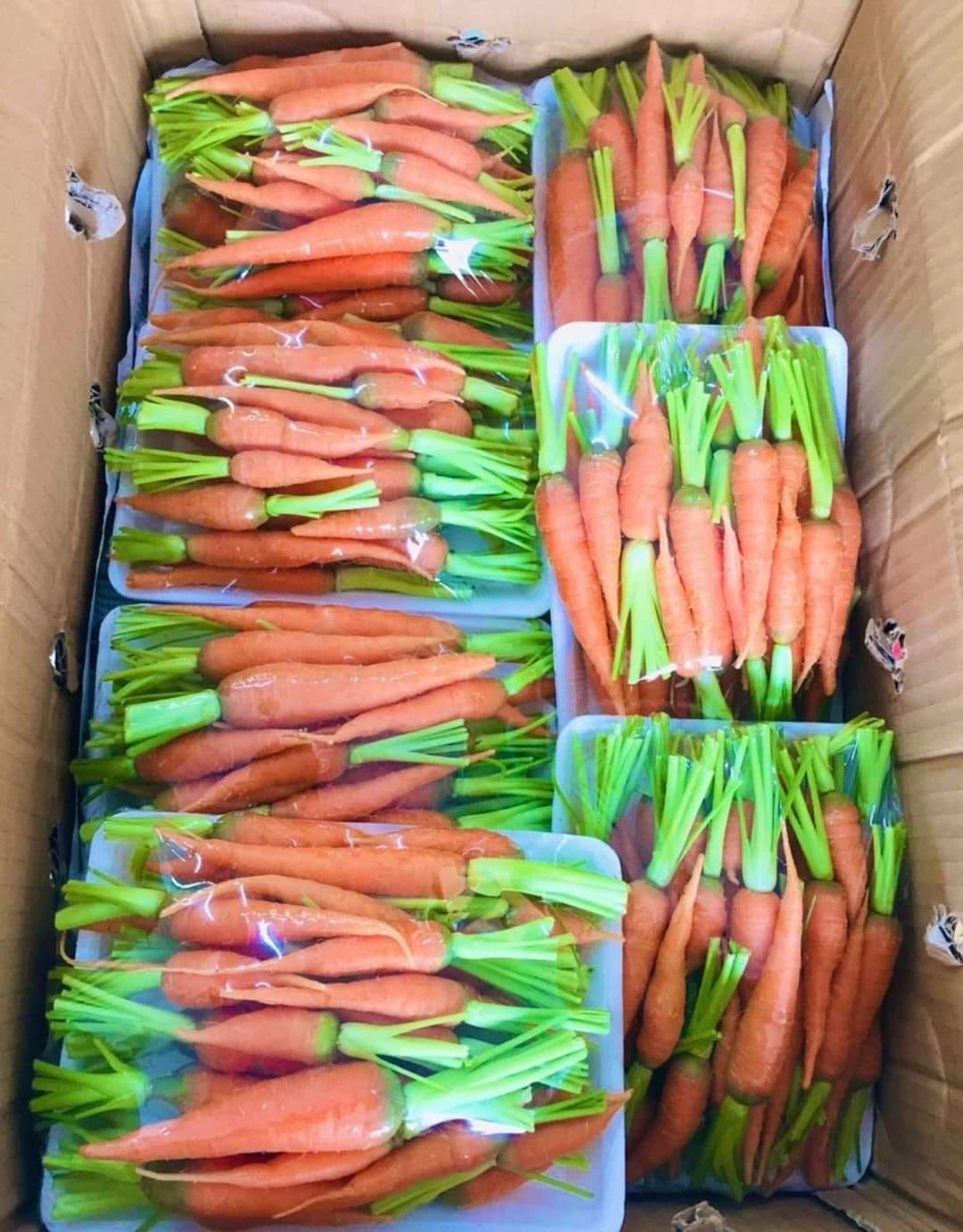 Do được trồng ngắn vụ hữu cơ nên cà rốt baby có thể ăn sống rất ngọt giòn. Thậm chí, nhiều người còn ăn luôn cả vỏ. Nguồn ảnh: Facebook