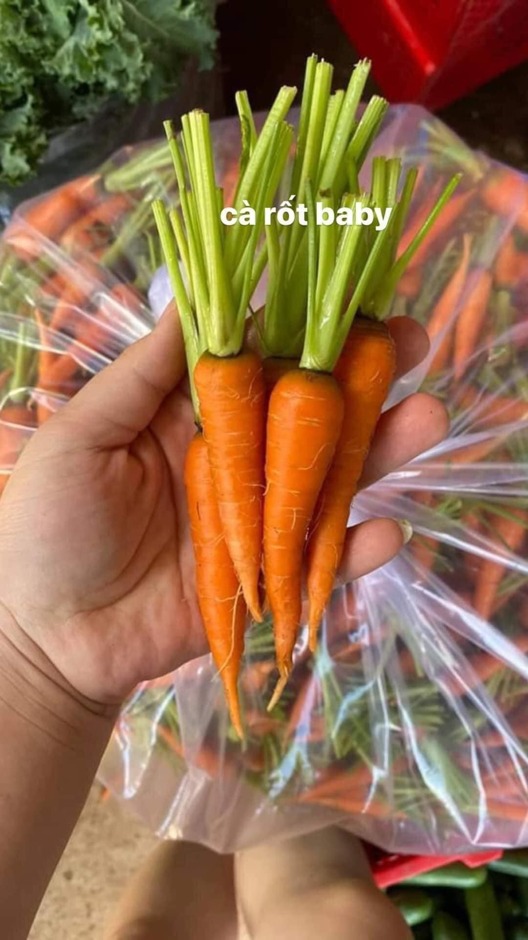 Cũng vì thế mà cà rốt tí hon có giá từ 90.000 - 150.000 đồng/kg, gấp 2-3 lần so với loại thường.