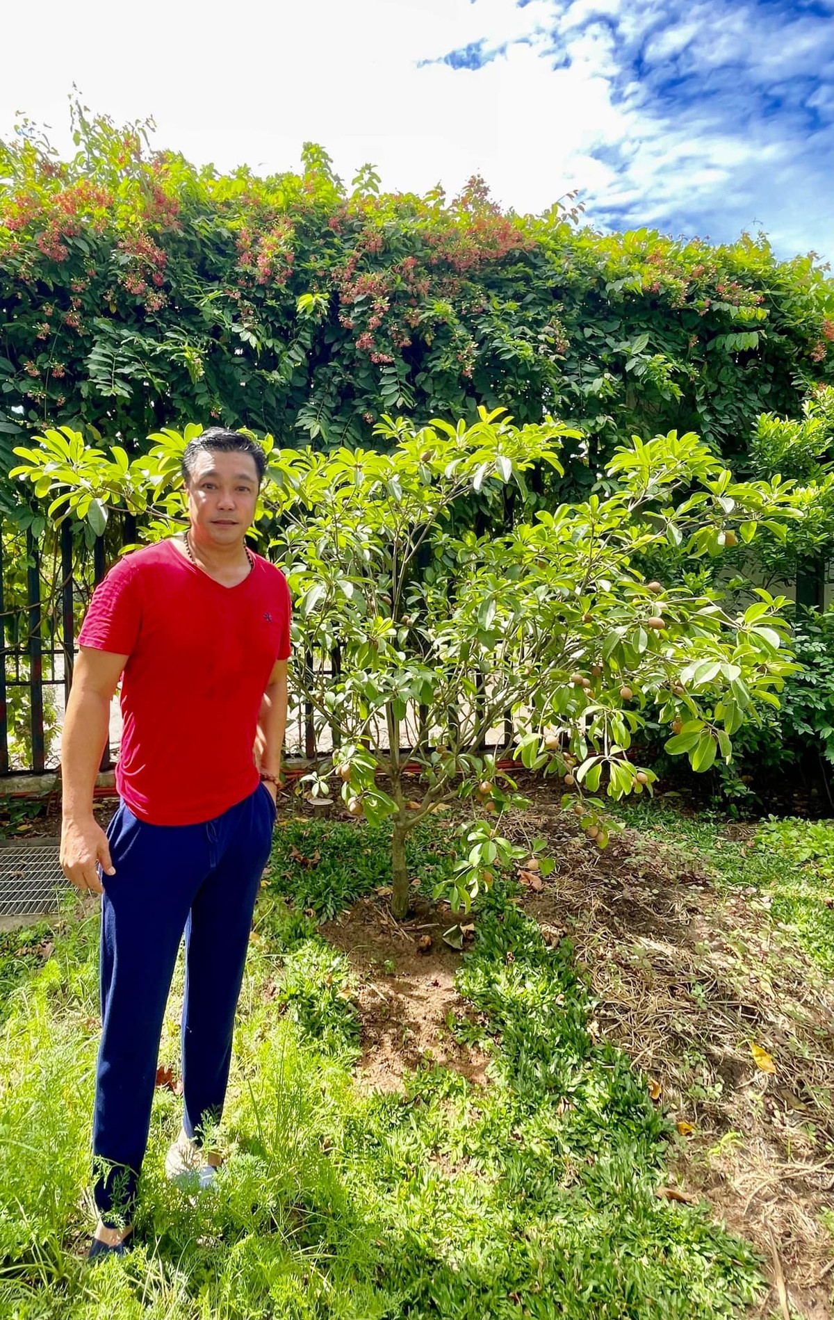  Diễn viên Lý Hùng còn đầu tư một khu vườn mini ngay giữa lòng thành phố. Anh trồng nhiều cây cảnh và cây ăn quả. Ảnh: FBNV