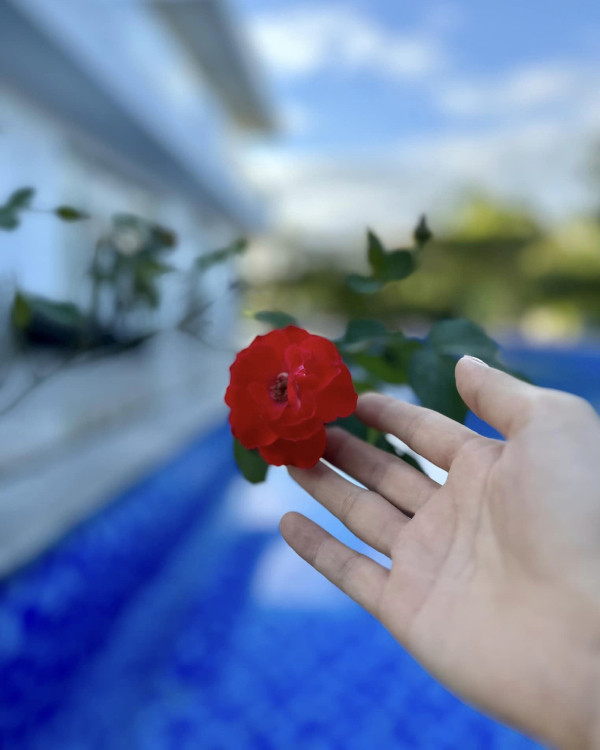 Được biết, đây là nơi để Mỹ Tâm hòa mình với thiên nhiên, lấy cảm hứng trong âm nhạc.